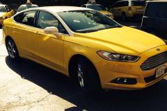 Some Photos of Our Fleet