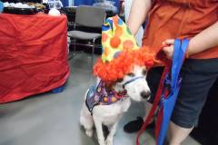 10257801_10153813432112439_7861857881535862025_o_1_