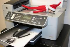 Scribbles the Elf is Here!