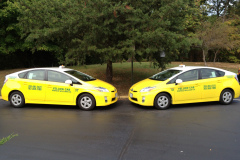 Yellow Cab Goes Green