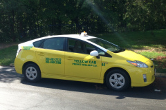 Yellow Cab Goes Green!!